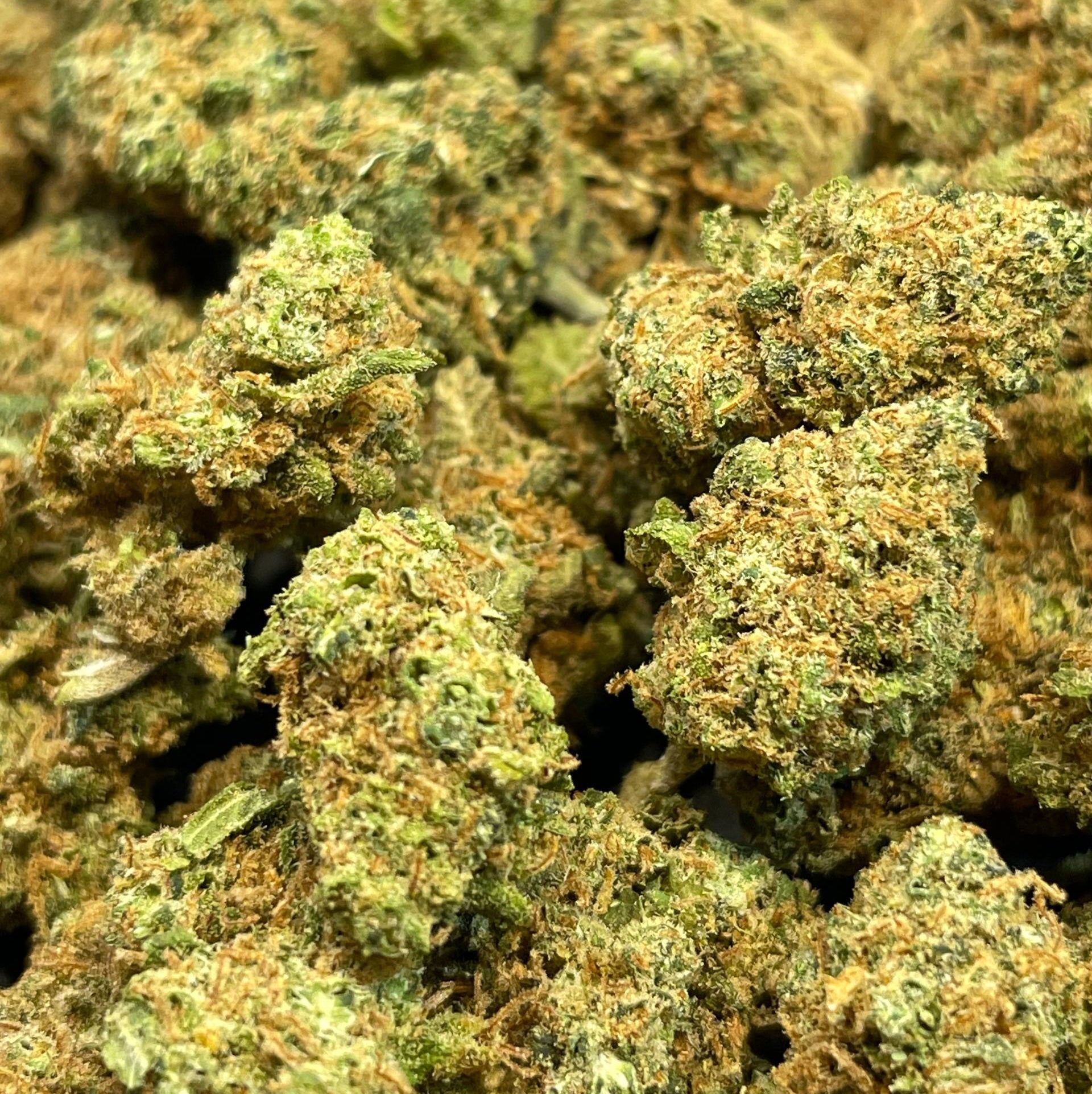 Image of TROPICAL HAZE (CBD)