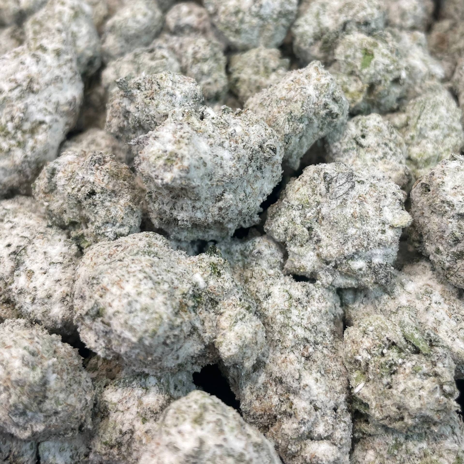 Image of SNOWCAP GELATO 41 (Δ-9 THC)