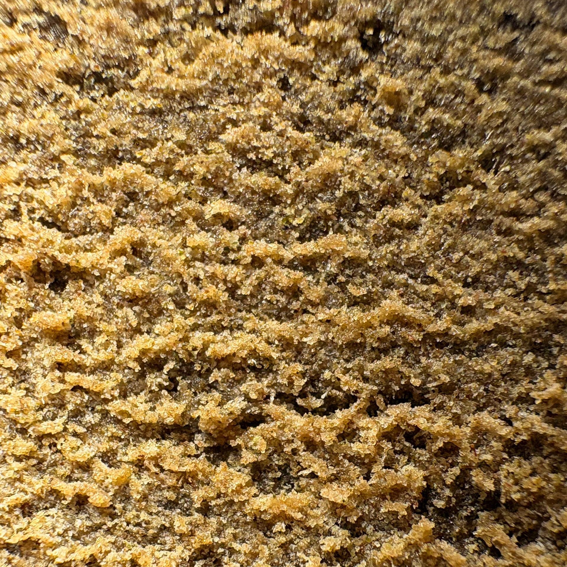 Image of TROPICAL CHERRY (Δ-9 THC)