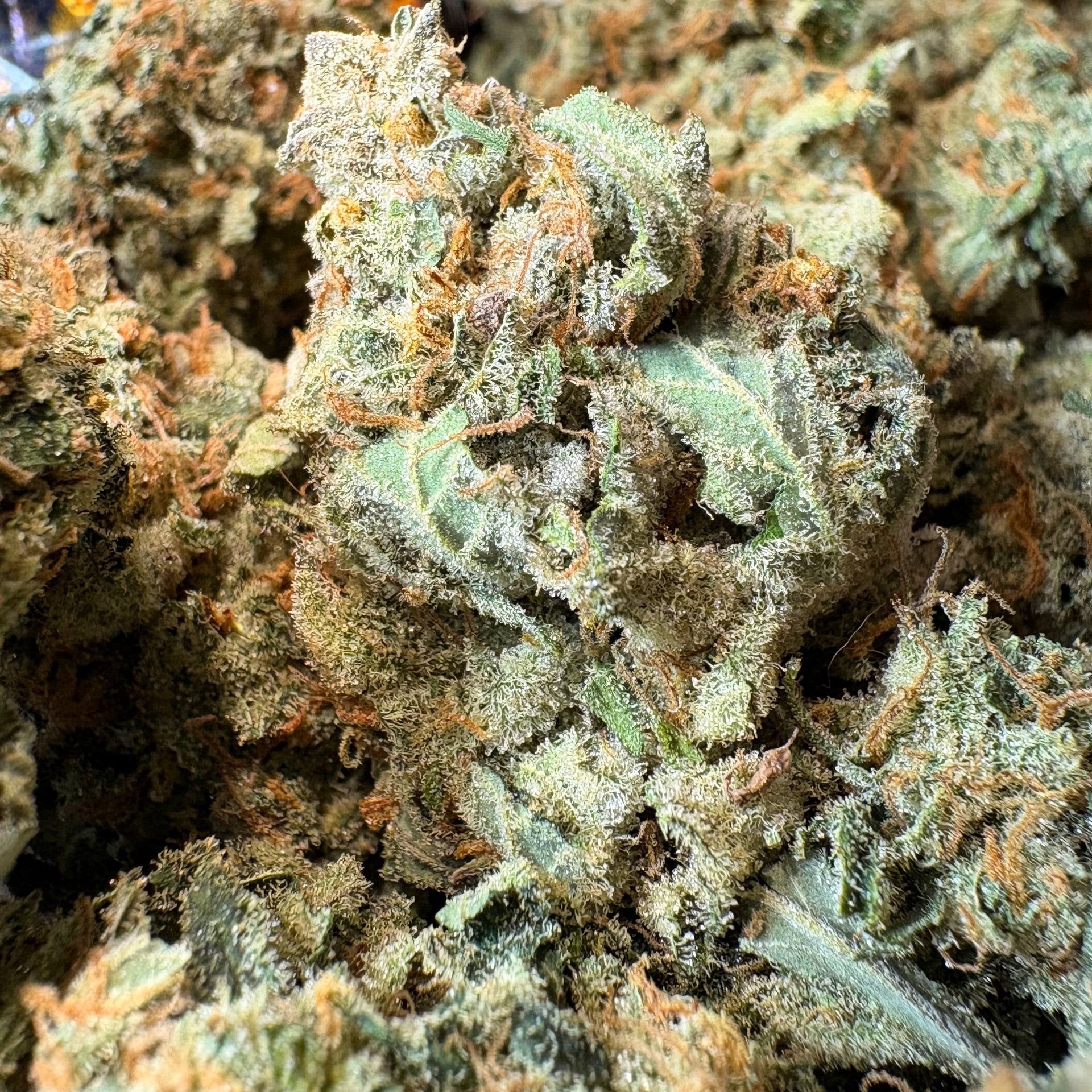 Image of AMNESIA HAZE (Δ-9 THC)