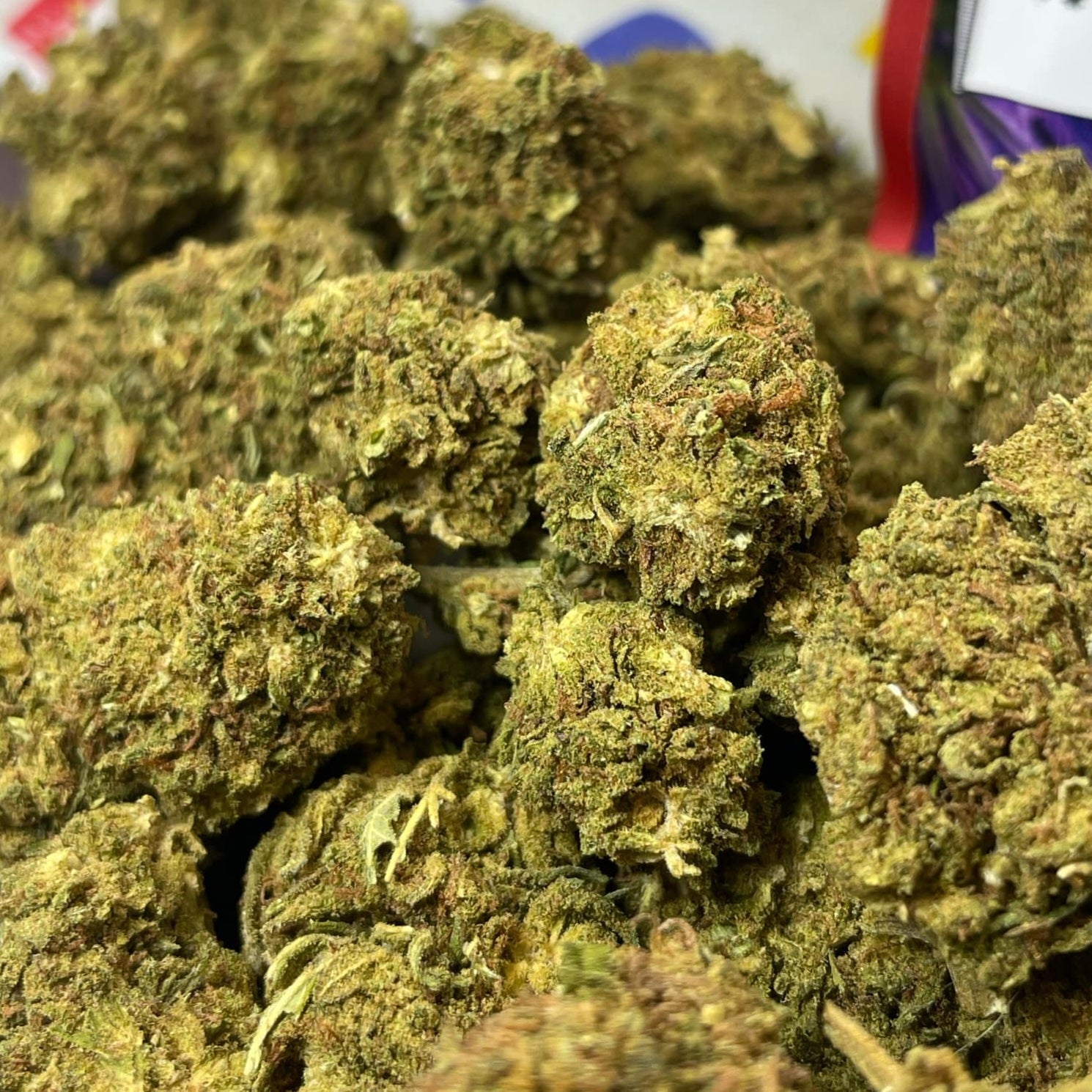 Image of PINK LADY KUSH (CBD)