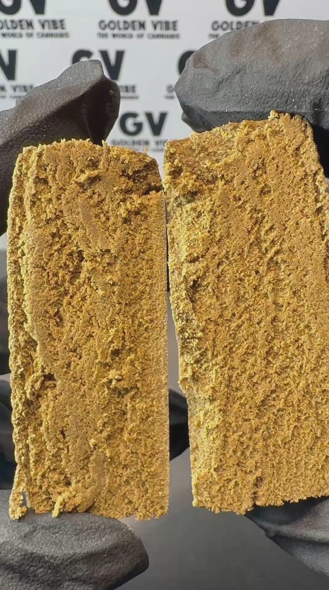 Image of PHANTOM OF GELATO (Δ-9 THC)