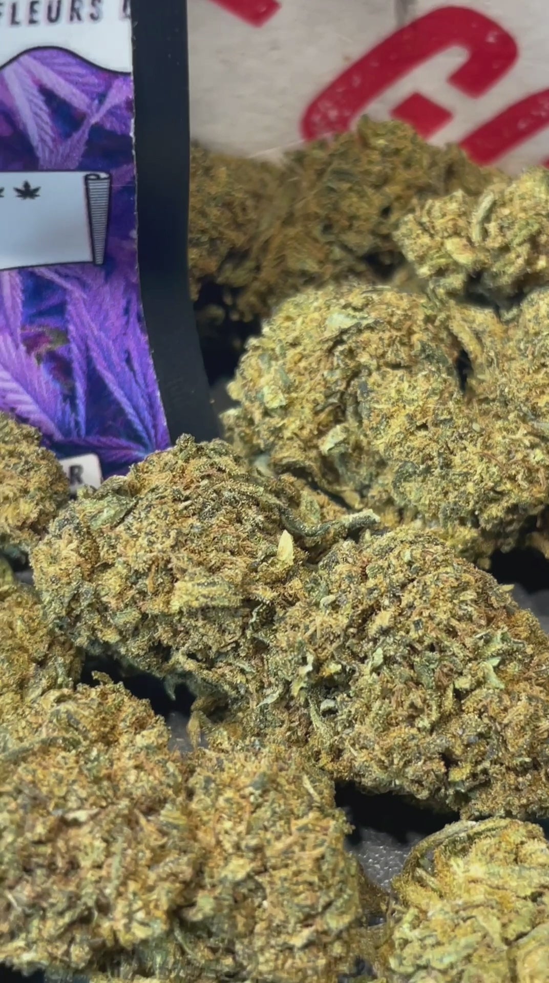 Image of GORILLA (CBD)