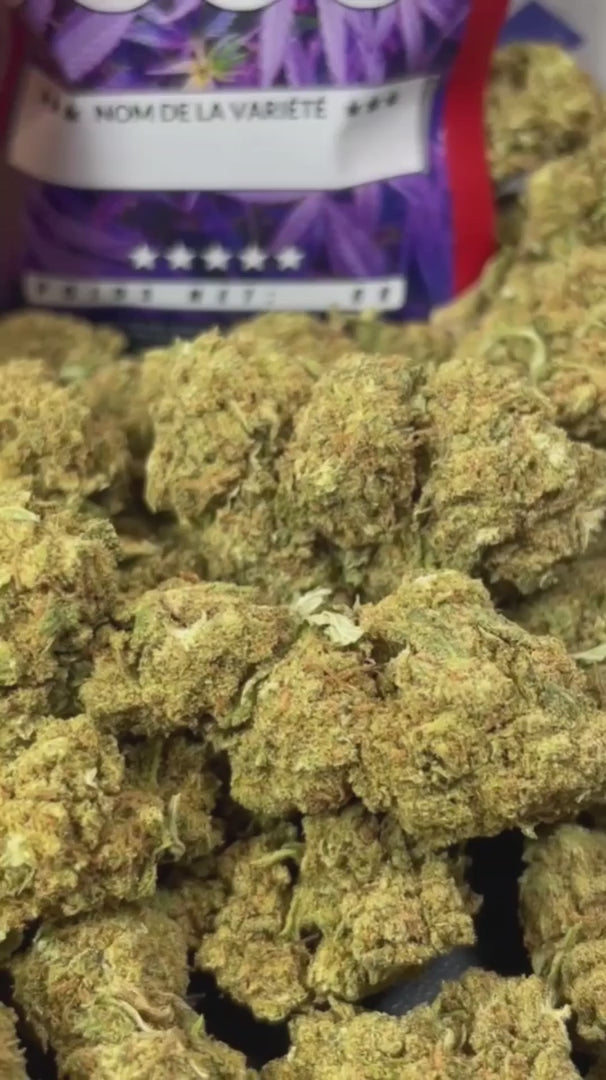 Image of HARLEQUIN (CBD)