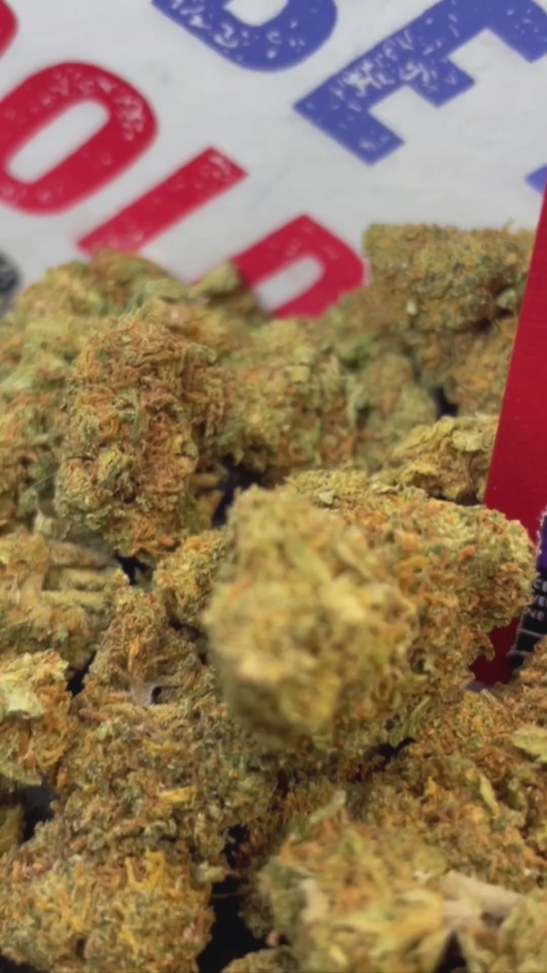 Image of CRITICAL + (CBD)