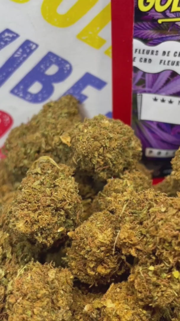 Image of PINEAPPLE EXP (CBD)