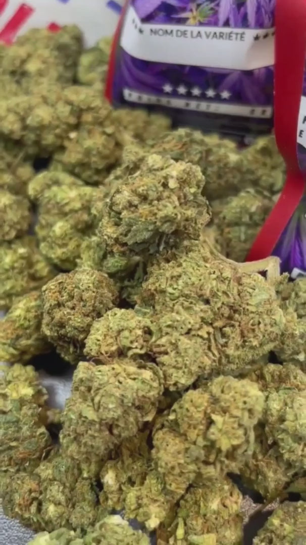 Image of AMNESIA HAZE (CBD)