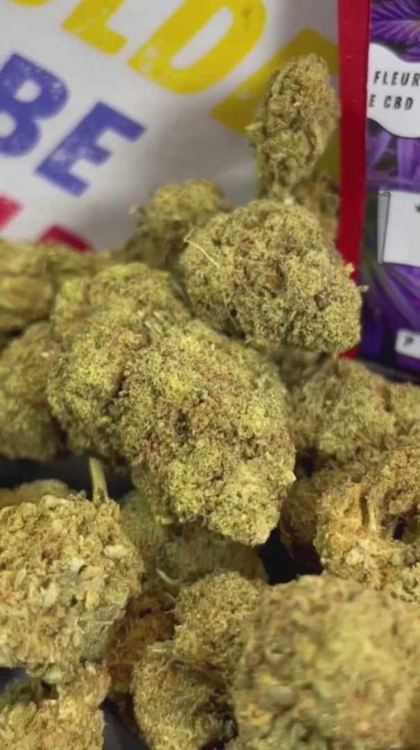 Image of BUBBLEGUM (CBD)