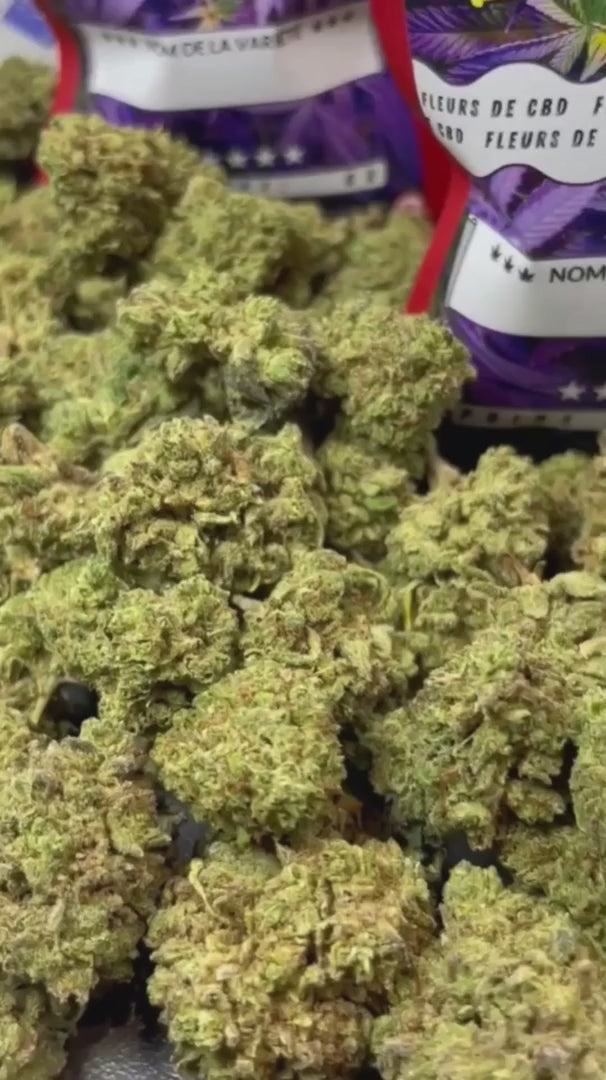 Image of WHITE WIDOW (CBD)