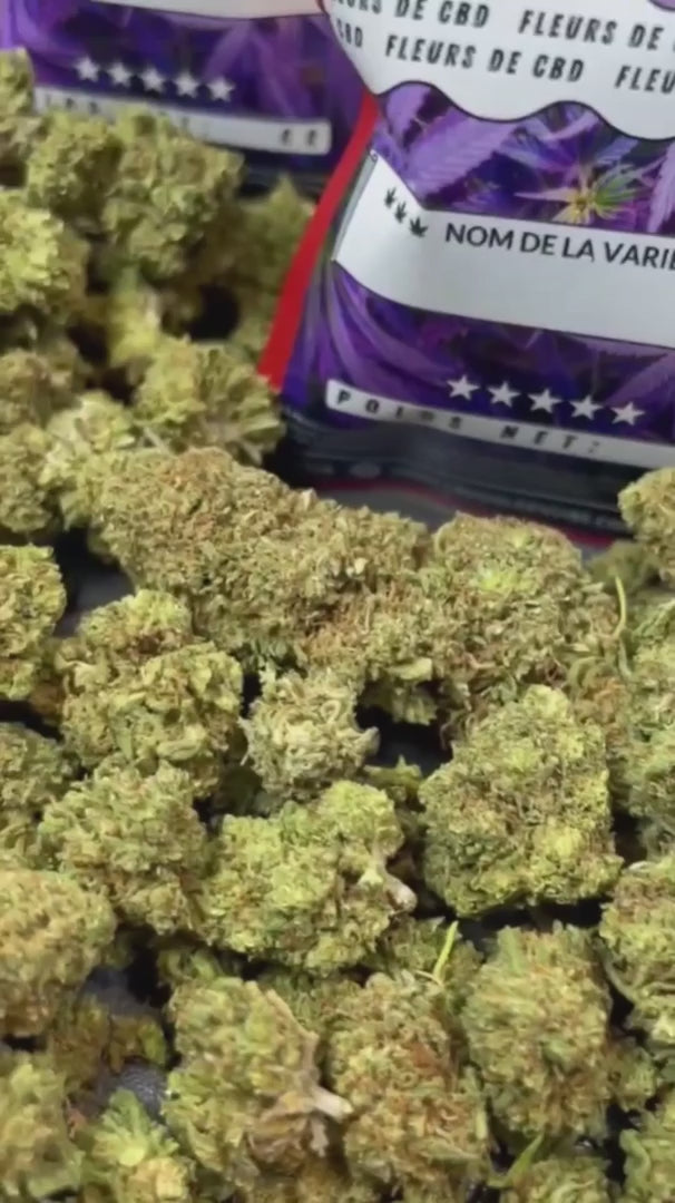 Image of ORANGE BUD (CBD)