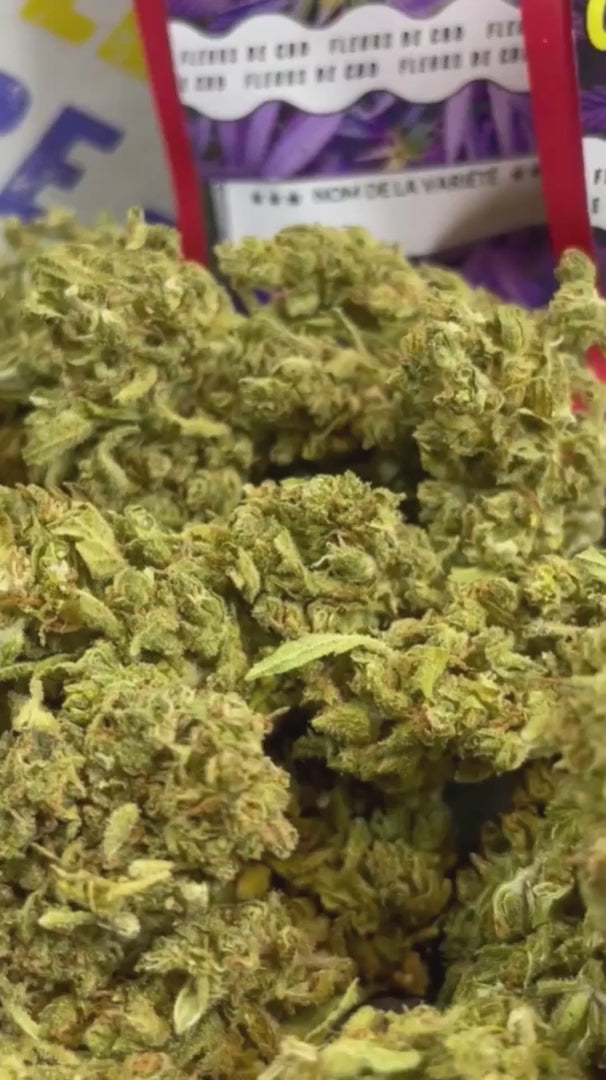 Image of EUPHORIA (CBD)