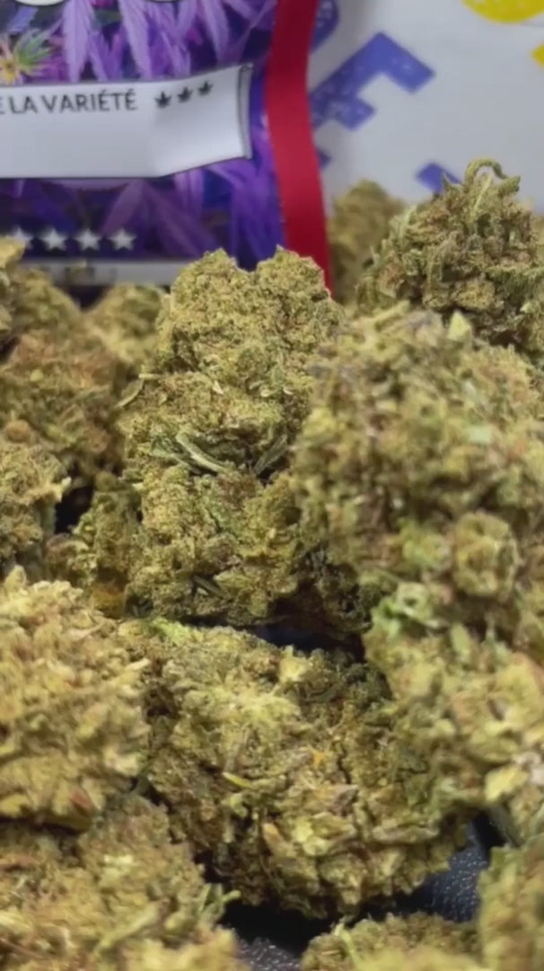 Image of PINK LADY KUSH (CBD)
