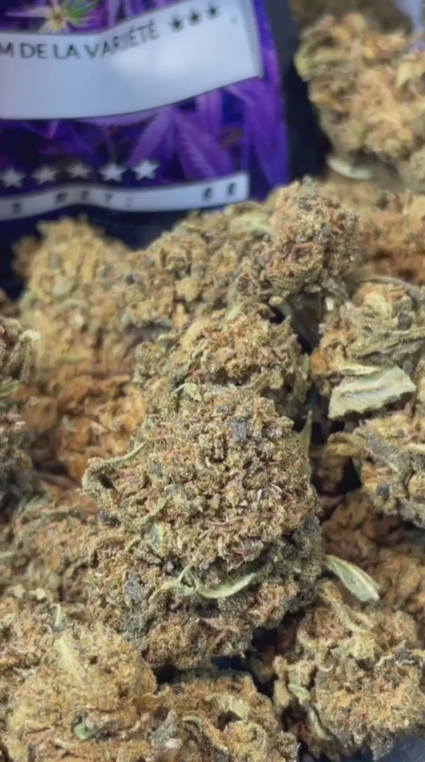 Image of GORILLA GLUE (CBD)