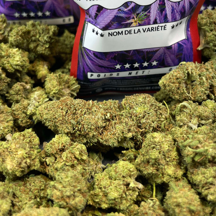 Image of ORANGE BUD (CBD)