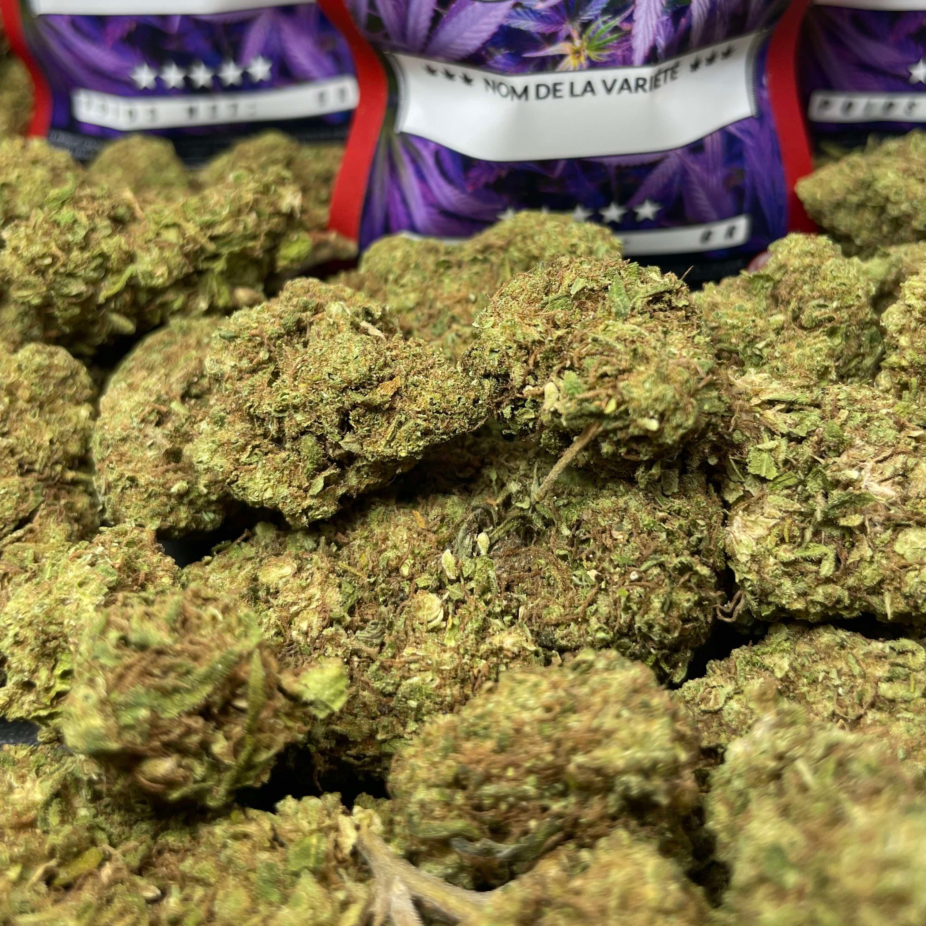 Image of BLUEBERRY (CBD)